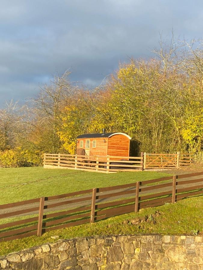 הוילה אוסווסטרי The Snug At Coed Y Gaer מראה חיצוני תמונה